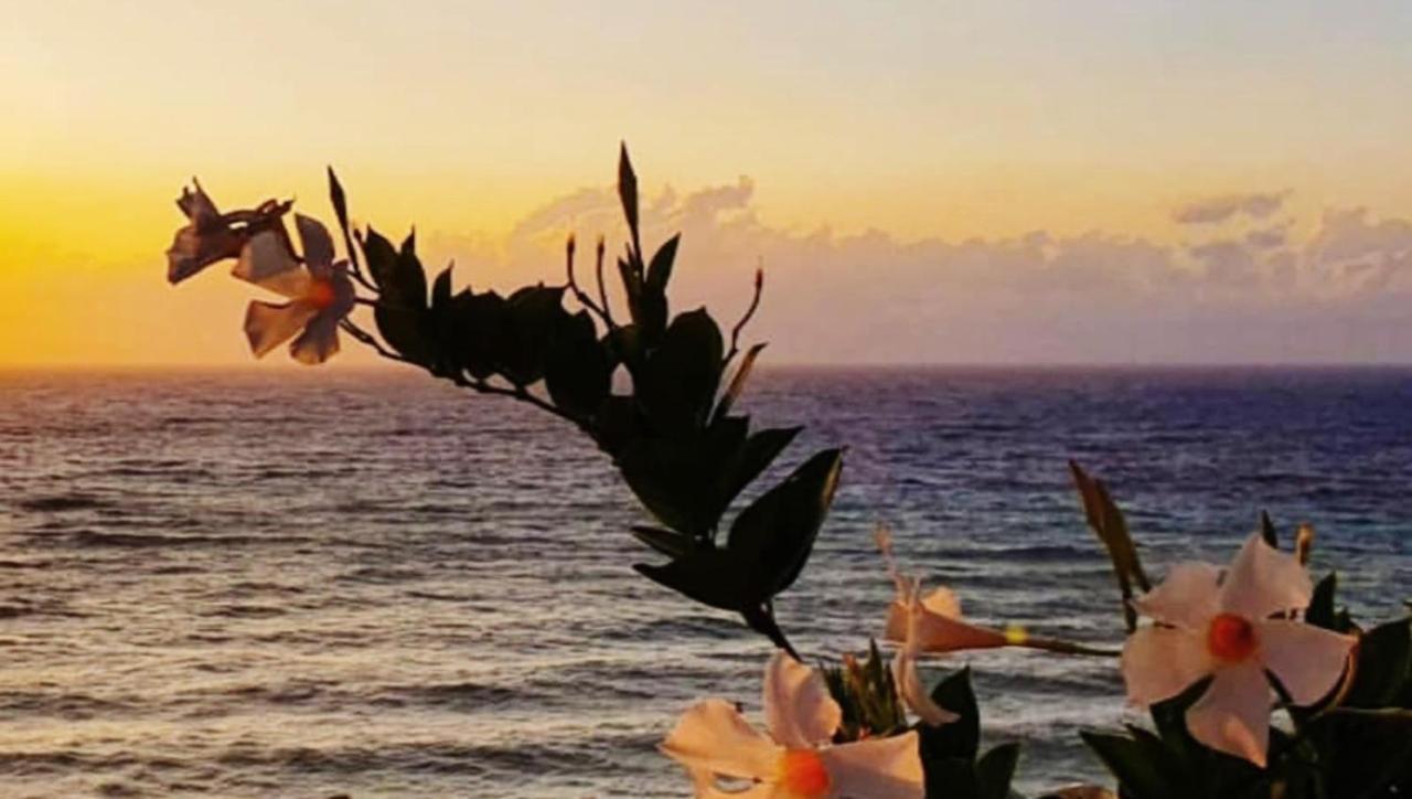 Gallipoli Mancaversa Futura Vacanza Andrea Марина-ді-Манкаверса Екстер'єр фото