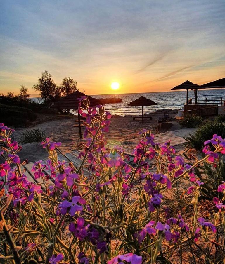 Gallipoli Mancaversa Futura Vacanza Andrea Марина-ді-Манкаверса Екстер'єр фото