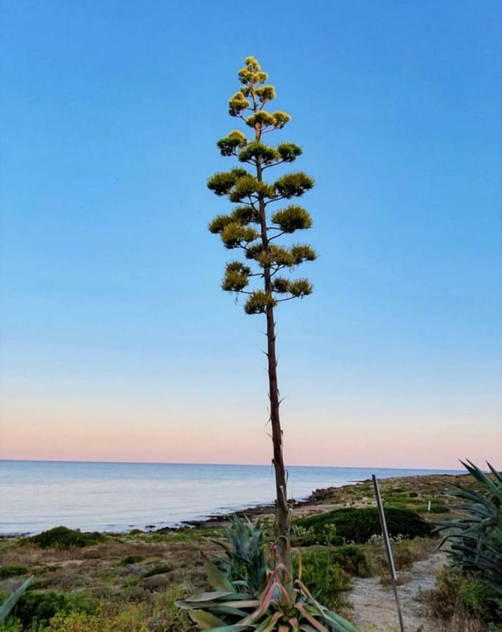 Gallipoli Mancaversa Futura Vacanza Andrea Марина-ді-Манкаверса Екстер'єр фото